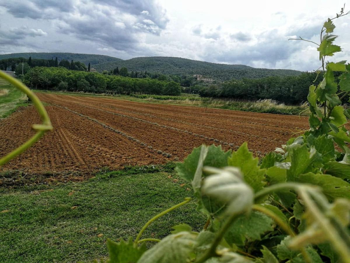 Claudia Vacanza Toscana - Appartamento Nocciolo- 10 Min Da Siena Malignano Luaran gambar